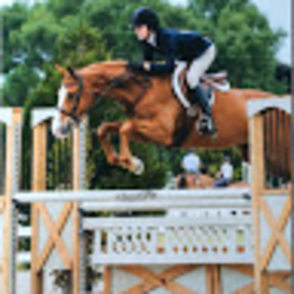 Meet your Posher, Maddy - Picture 1 of 1